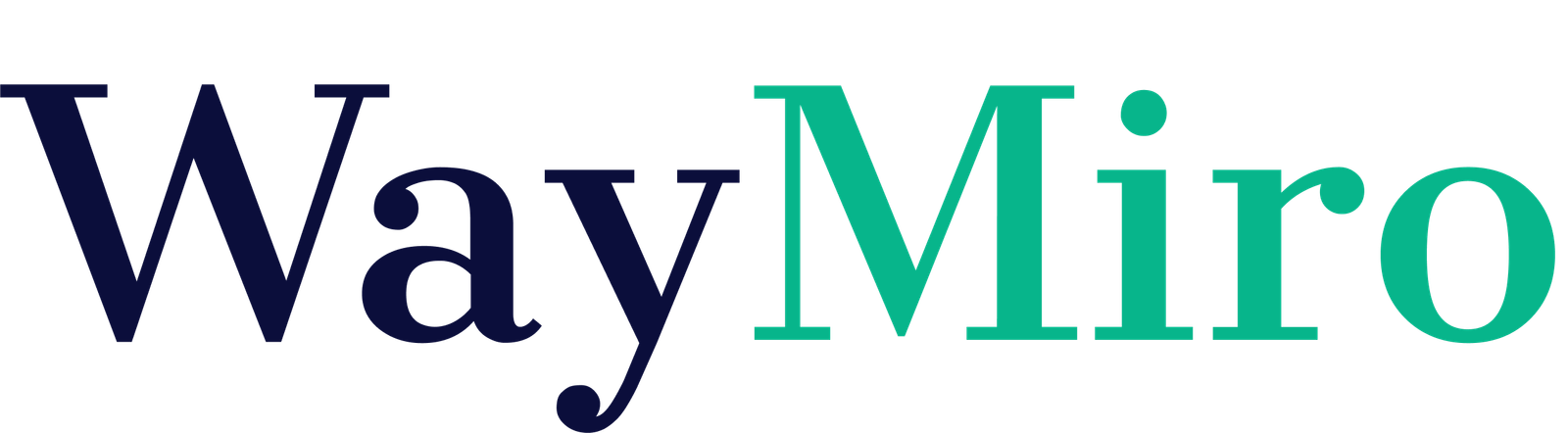 exclusive partner